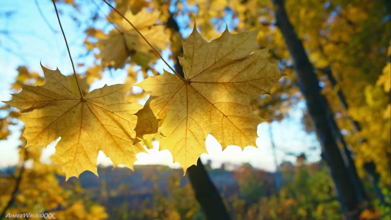 AimeeWavesXXX - Ruining Your Marriage